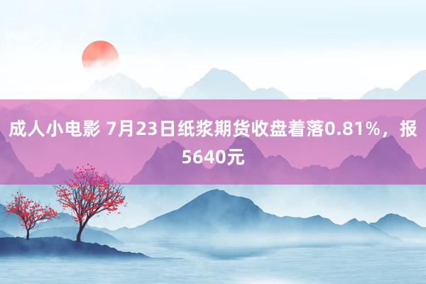 成人小电影 7月23日纸浆期货收盘着落0.81%，报5640元