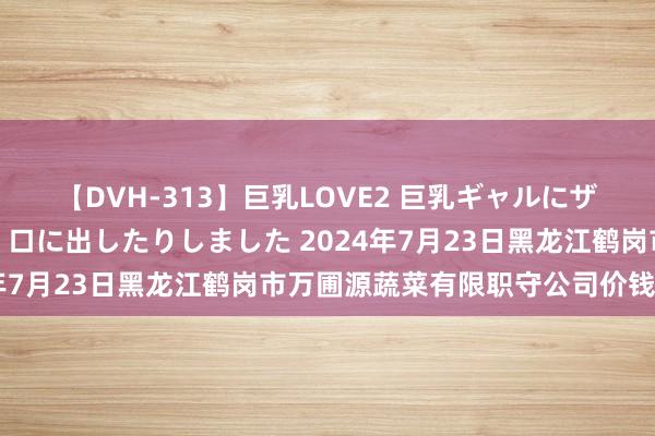 【DVH-313】巨乳LOVE2 巨乳ギャルにザーメンを中出ししたり、口に出したりしました 2024年7月23日黑龙江鹤岗市万圃源蔬菜有限职守公司价钱行情