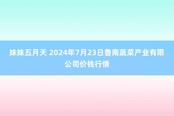 妹妹五月天 2024年7月23日鲁南蔬菜产业有限公司价钱行情