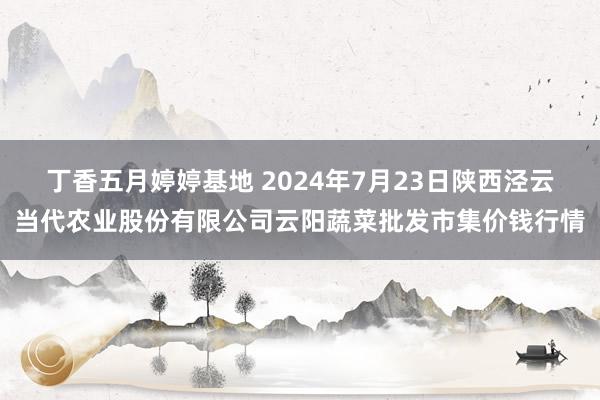 丁香五月婷婷基地 2024年7月23日陕西泾云当代农业股份有限公司云阳蔬菜批发市集价钱行情