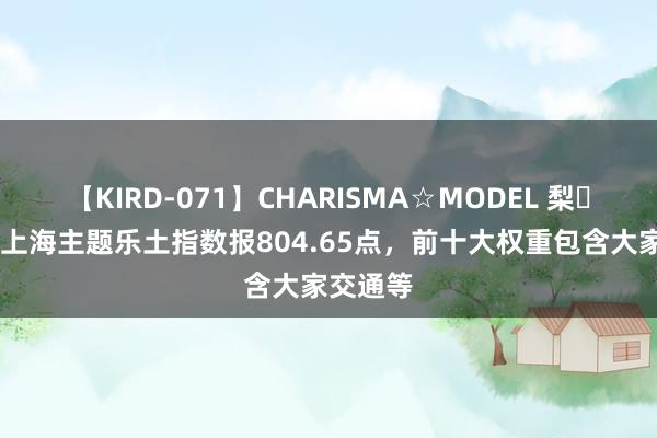 【KIRD-071】CHARISMA☆MODEL 梨々花 中证上海主题乐土指数报804.65点，前十大权重包含大家交通等