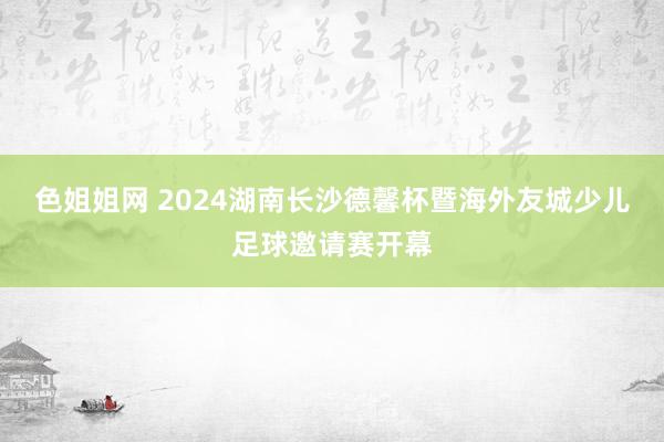 色姐姐网 2024湖南长沙德馨杯暨海外友城少儿足球邀请赛开幕