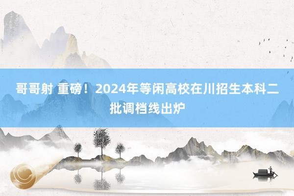 哥哥射 重磅！2024年等闲高校在川招生本科二批调档线出炉