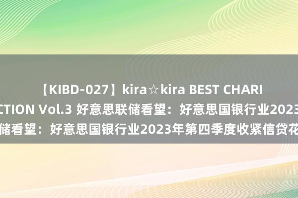 【KIBD-027】kira☆kira BEST CHARISMA☆MODEL☆COLLECTION Vol.3 好意思联储看望：好意思国银行业2023年第四季度收紧信贷花式