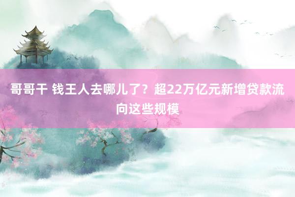 哥哥干 钱王人去哪儿了？超22万亿元新增贷款流向这些规模