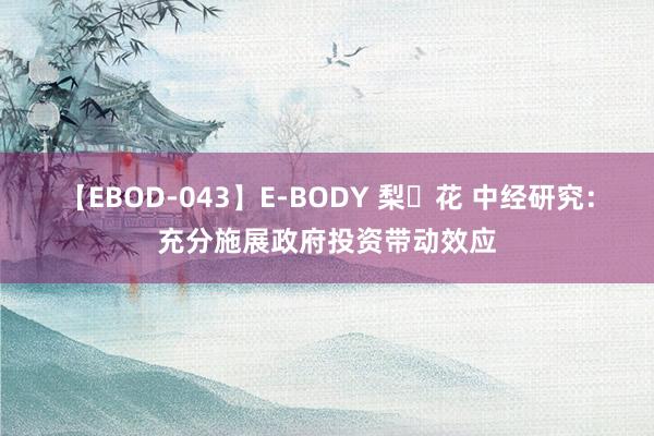 【EBOD-043】E-BODY 梨々花 中经研究：充分施展政府投资带动效应