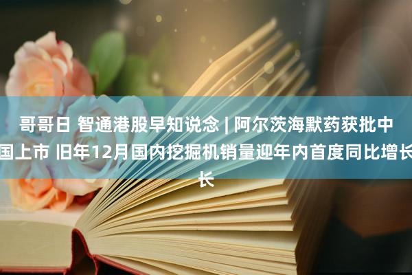 哥哥日 智通港股早知说念 | 阿尔茨海默药获批中国上市 旧年12月国内挖掘机销量迎年内首度同比增长