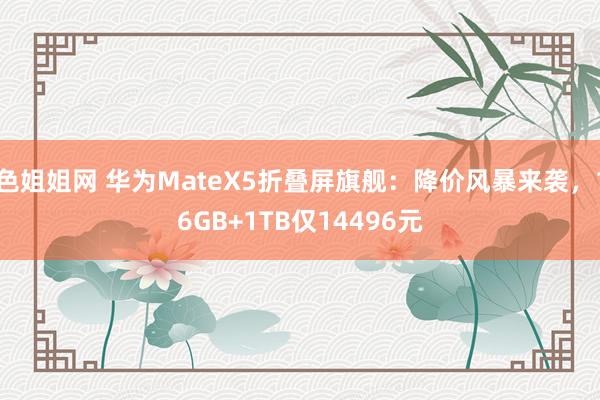 色姐姐网 华为MateX5折叠屏旗舰：降价风暴来袭，16GB+1TB仅14496元