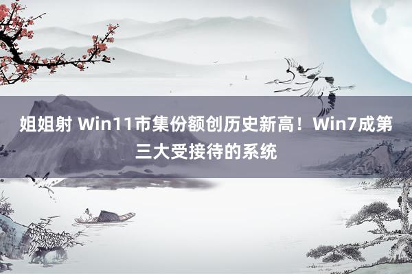 姐姐射 Win11市集份额创历史新高！Win7成第三大受接待的系统