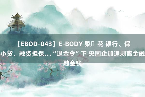 【EBOD-043】E-BODY 梨々花 银行、保障、小贷、融资担保…“退金令”下 央国企加速剥离金融金钱