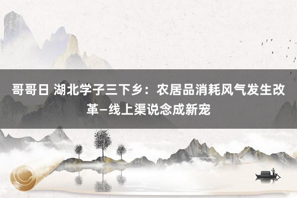 哥哥日 湖北学子三下乡：农居品消耗风气发生改革—线上渠说念成新宠