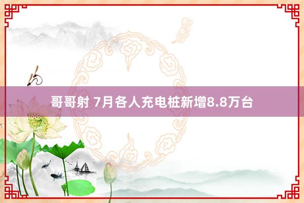 哥哥射 7月各人充电桩新增8.8万台