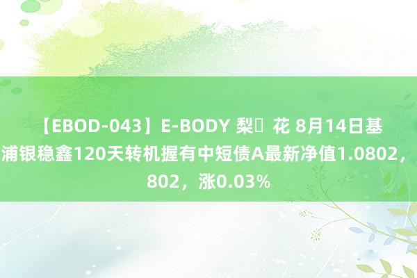 【EBOD-043】E-BODY 梨々花 8月14日基金净值：浦银稳鑫120天转机握有中短债A最新净值1.0802，涨0.03%