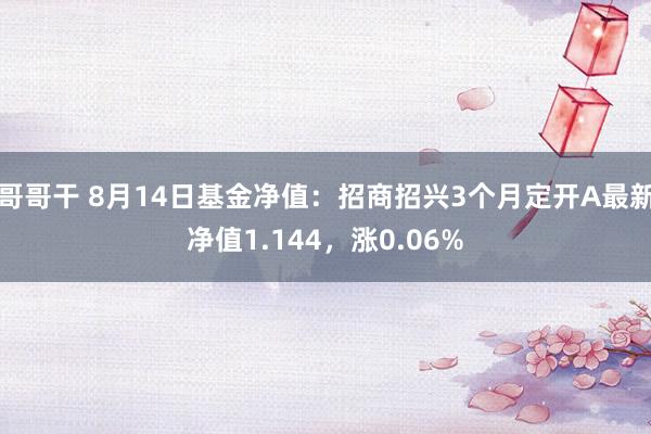 哥哥干 8月14日基金净值：招商招兴3个月定开A最新净值1.144，涨0.06%