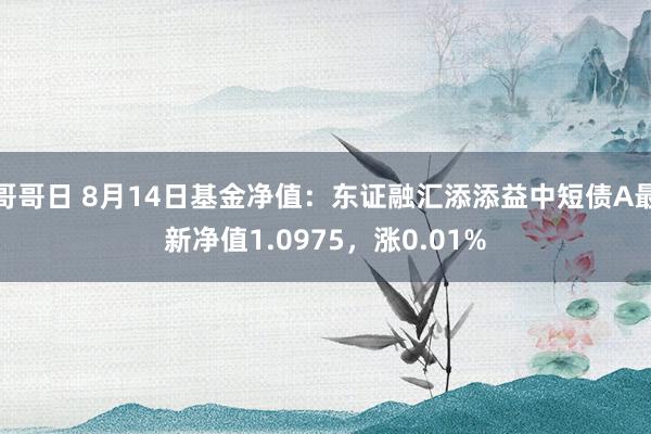 哥哥日 8月14日基金净值：东证融汇添添益中短债A最新净值1.0975，涨0.01%