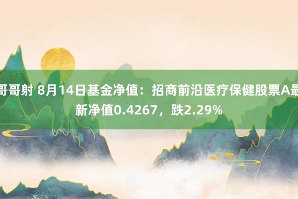 哥哥射 8月14日基金净值：招商前沿医疗保健股票A最新净值0.4267，跌2.29%