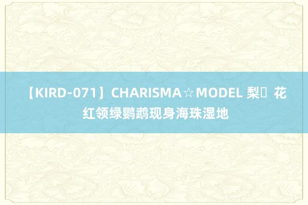 【KIRD-071】CHARISMA☆MODEL 梨々花 红领绿鹦鹉现身海珠湿地