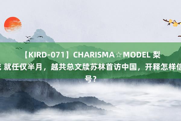 【KIRD-071】CHARISMA☆MODEL 梨々花 就任仅半月，越共总文牍苏林首访中国，开释怎样信号？