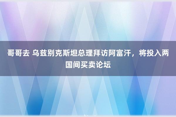 哥哥去 乌兹别克斯坦总理拜访阿富汗，将投入两国间买卖论坛