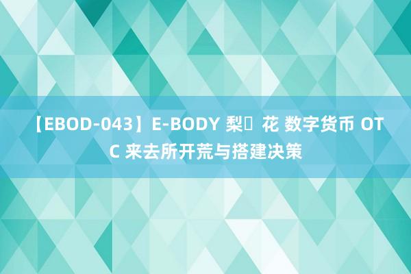 【EBOD-043】E-BODY 梨々花 数字货币 OTC 来去所开荒与搭建决策