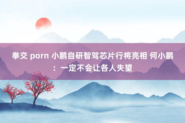 拳交 porn 小鹏自研智驾芯片行将亮相 何小鹏：一定不会让各人失望