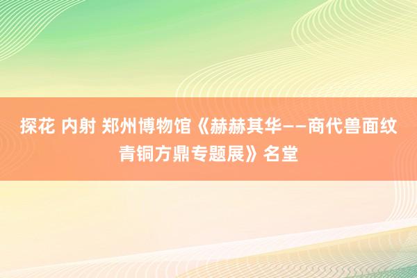 探花 内射 郑州博物馆《赫赫其华——商代兽面纹青铜方鼎专题展》名堂