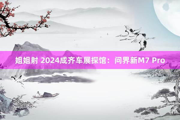 姐姐射 2024成齐车展探馆：问界新M7 Pro