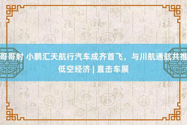 哥哥射 小鹏汇天航行汽车成齐首飞，与川航通航共推低空经济 | 直击车展