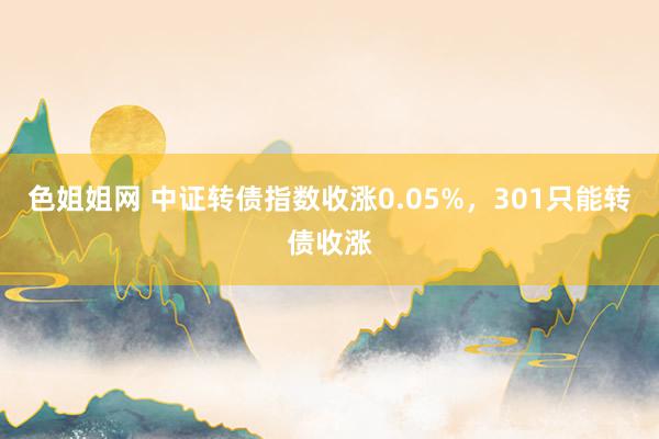 色姐姐网 中证转债指数收涨0.05%，301只能转债收涨