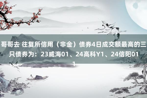 哥哥去 往复所信用（非金）债券4日成交额最高的三只债券为：23威海01、24高科Y1、24信阳01