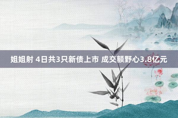 姐姐射 4日共3只新债上市 成交额野心3.8亿元