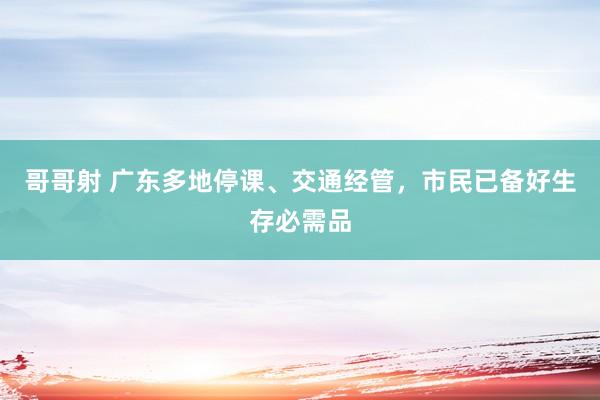 哥哥射 广东多地停课、交通经管，市民已备好生存必需品