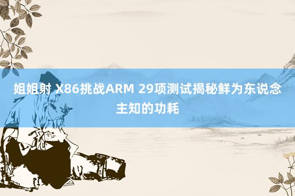 姐姐射 X86挑战ARM 29项测试揭秘鲜为东说念主知的功耗