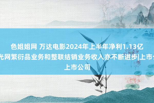 色姐姐网 万达电影2024年上半年净利1.13亿 时光网繁衍品业务和整联结销业务收入亦不断进步|上市公司