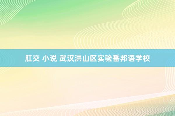 肛交 小说 武汉洪山区实验番邦语学校